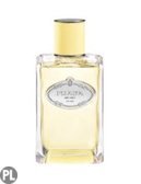 Prada Mimosa